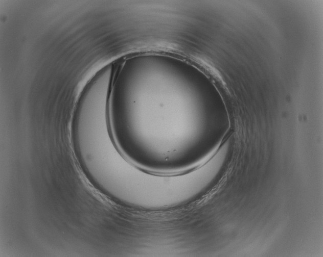 X0000070370936200606231644