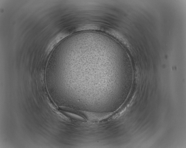 X0000070370937200606231644