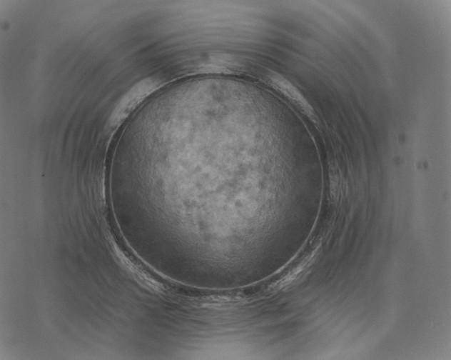 X0000070370938200606231644