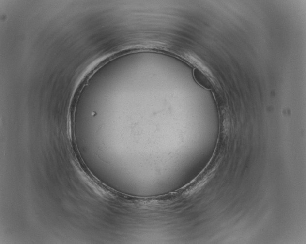 X0000070370940200606231644