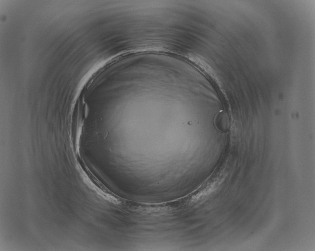 X0000070370941200606231644