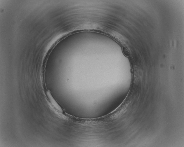 X0000070370942200606231644