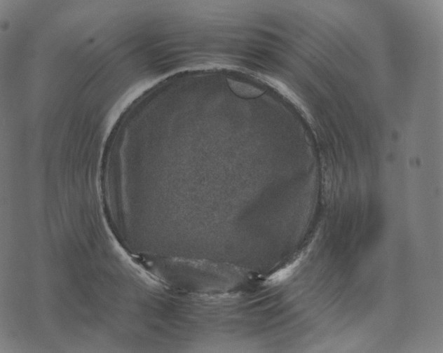 X0000070370943200606231644