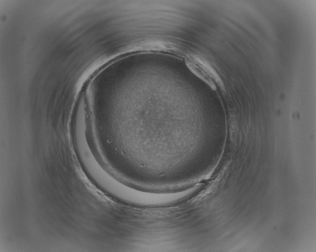 X0000070370944200606231644