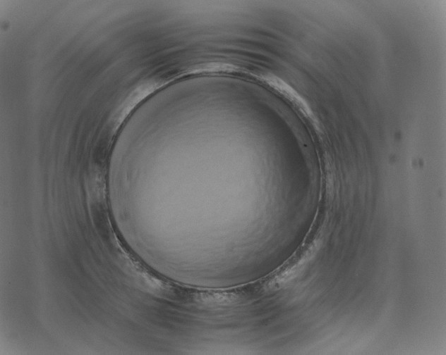 X0000070370945200606231644