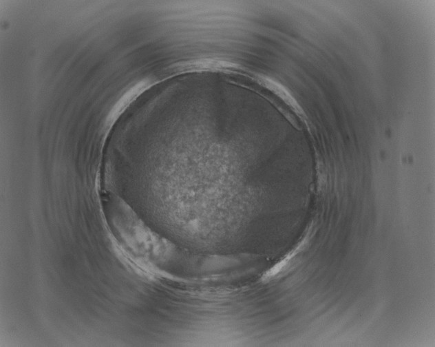 X0000070370946200606231644