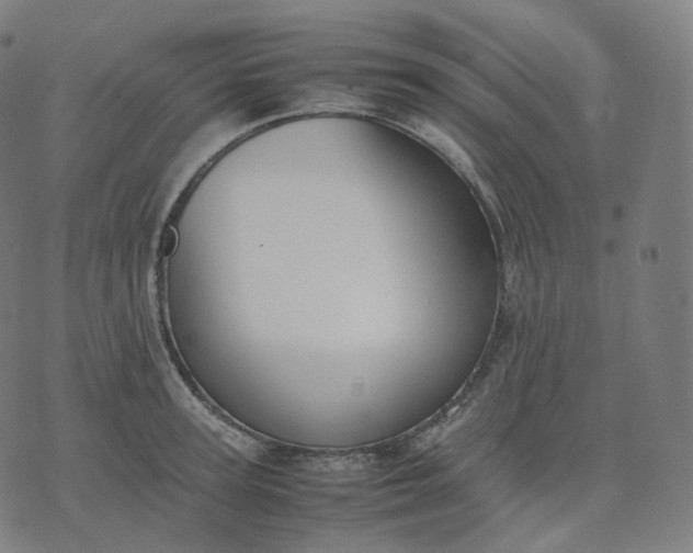 X0000070370947200606231644