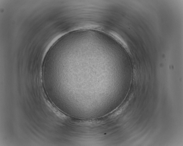 X0000070370948200606231644