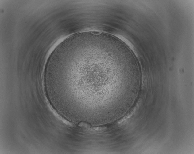 X0000070370949200606231644