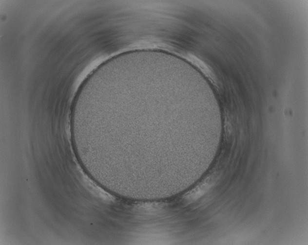 X0000070370950200606231644