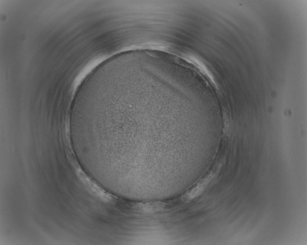 X0000070370952200606231644