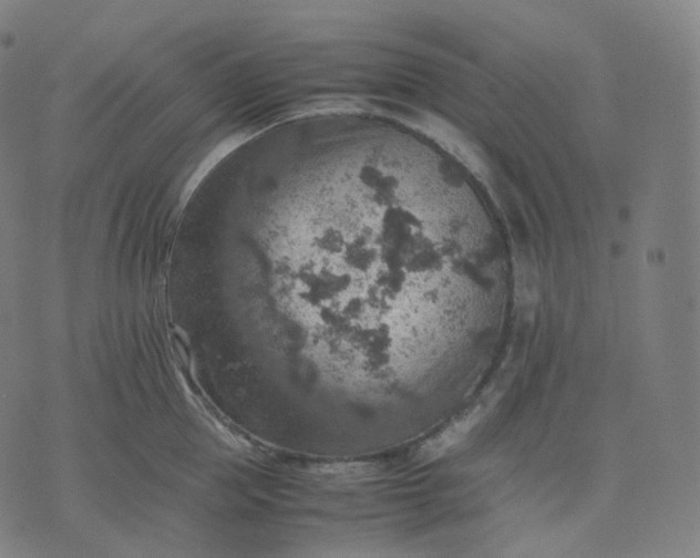 X0000070370953200606231644