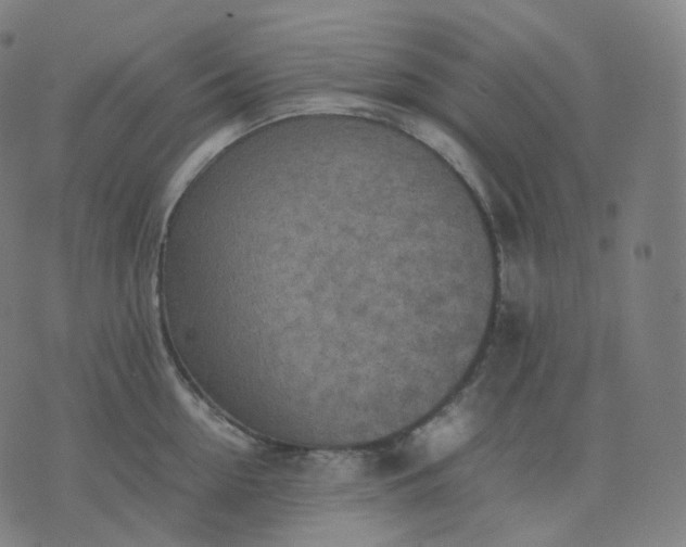 X0000070370954200606231644