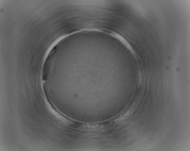 X0000070370955200606231644