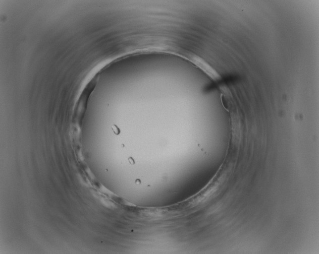 X0000070370956200606231644