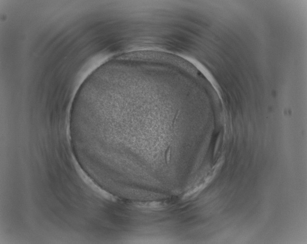 X0000070370957200606231644