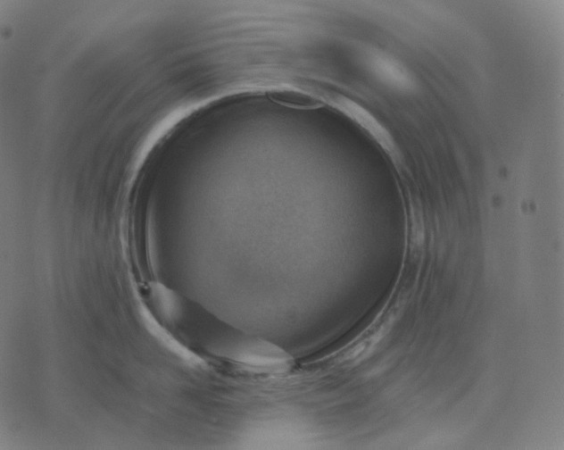 X0000070370958200606231644