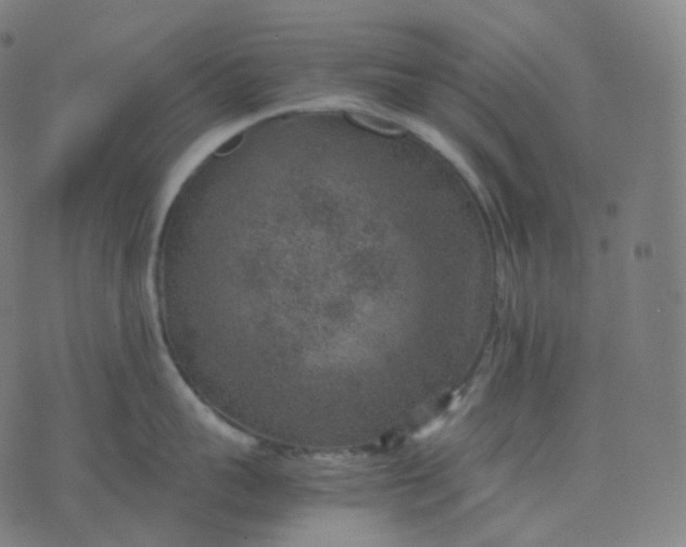 X0000070370959200606231644