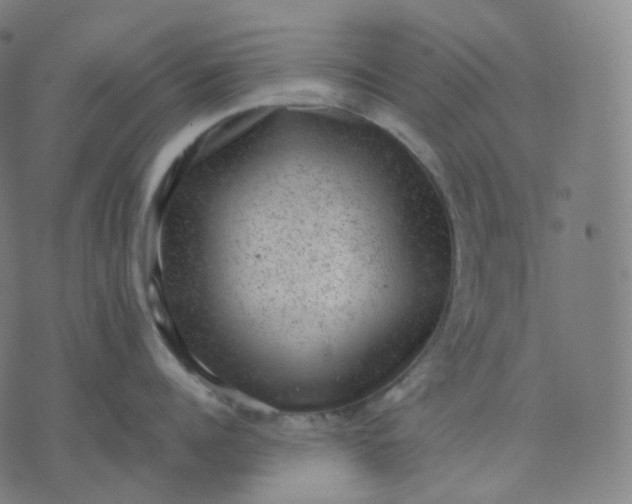 X0000070370960200606231644