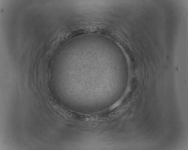 X0000070370961200606231643