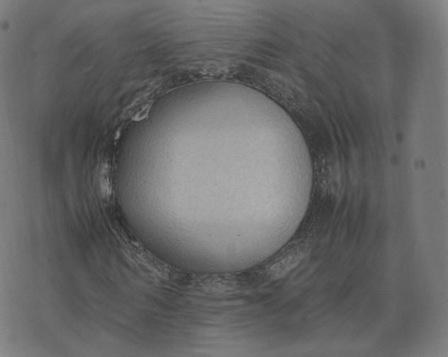 X0000070370962200606231643