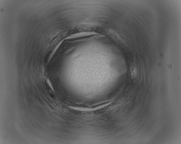 X0000070370964200606231643