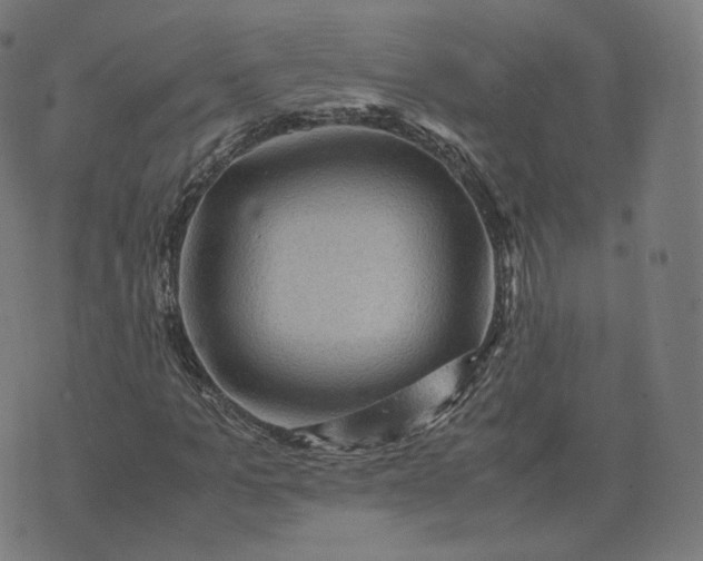 X0000070370965200606231643