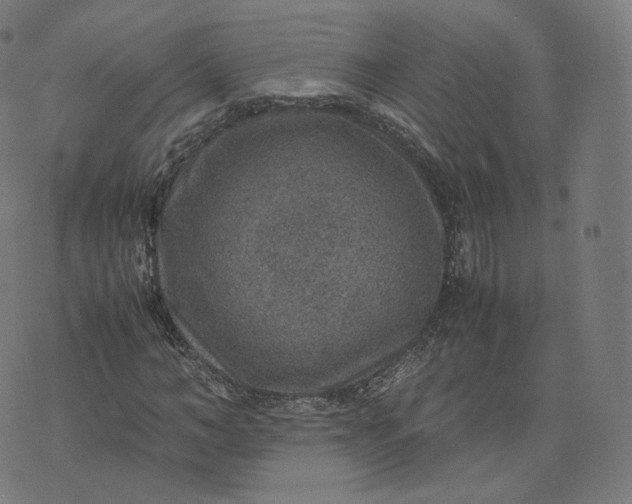 X0000070370966200606231643