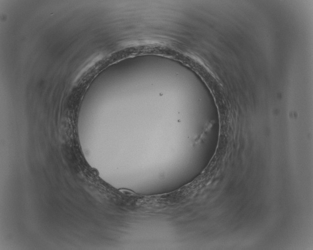 X0000070370967200606231643