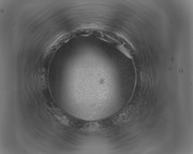 X0000070370968200606231643