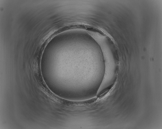 X0000070370969200606231643