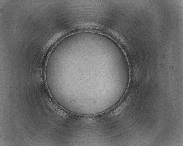 X0000070370970200606231643