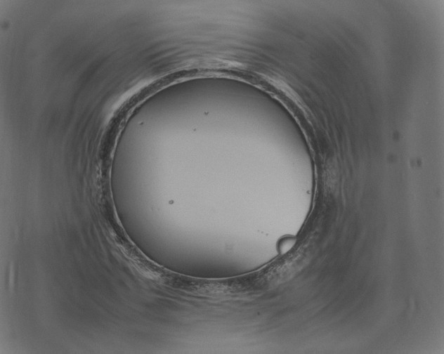 X0000070370971200606231643