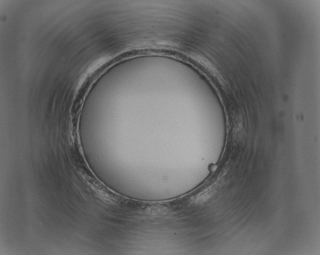 X0000070370974200606231643