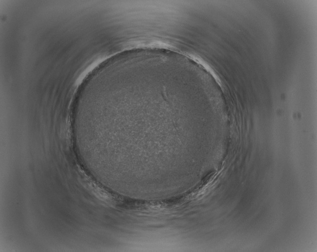 X0000070370975200606231643