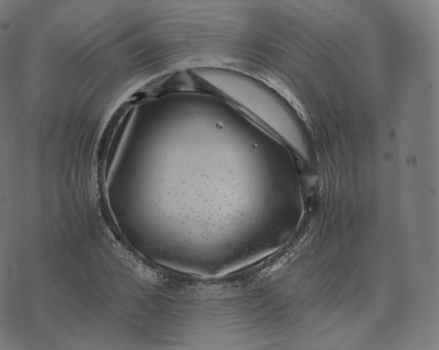 X0000070370976200606231643