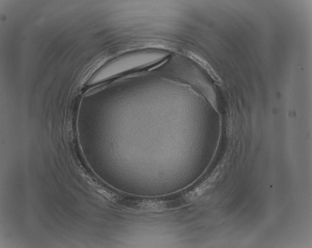 X0000070370977200606231643