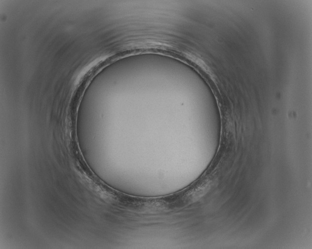 X0000070370979200606231643