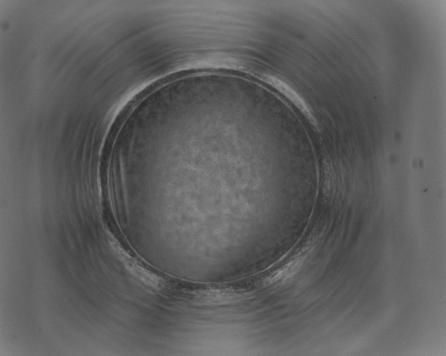 X0000070370980200606231643