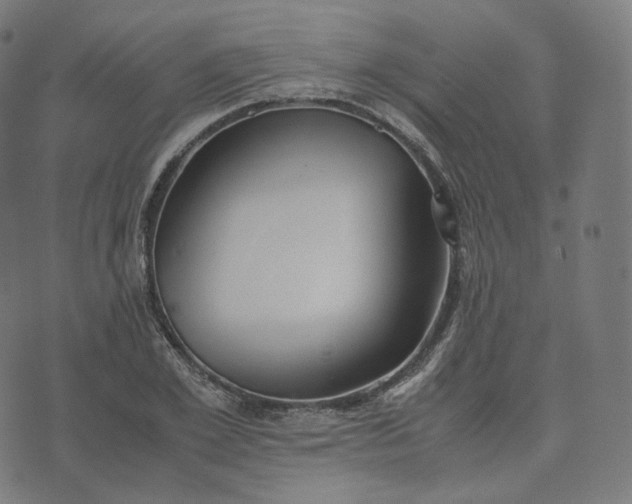 X0000070370981200606231643