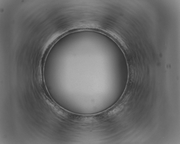 X0000070370982200606231643