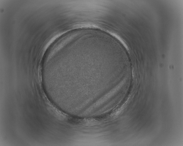 X0000070370983200606231643