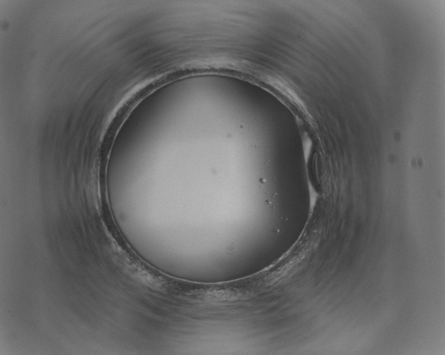 X0000070370984200606231643