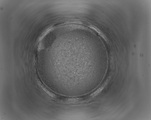 X0000070370985200606231643