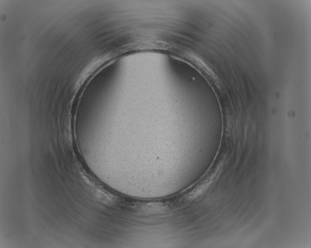 X0000070370986200606231643