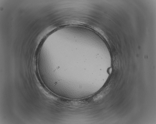 X0000070370987200606231643