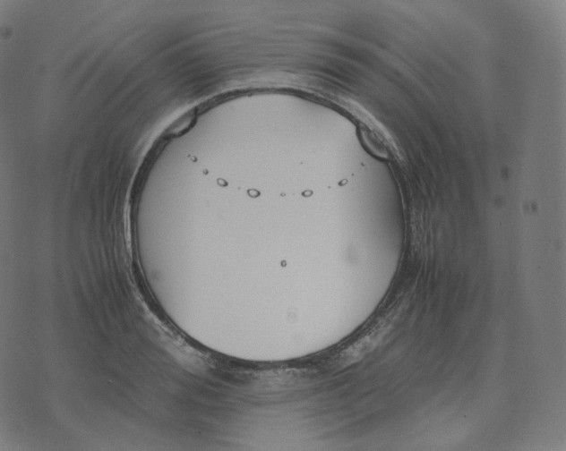 X0000070370988200606231643