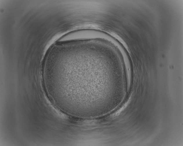 X0000070370989200606231643