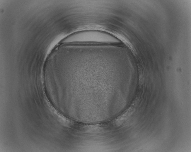 X0000070370990200606231643