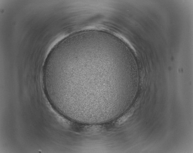 X0000070370991200606231643